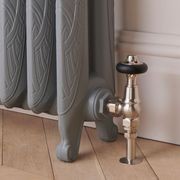 Paladin Gatsby Cast Iron Radiator (5~12 sections) gallery detail image