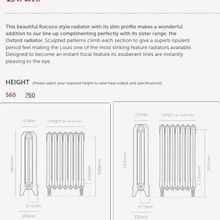 Paladin Louis Cast Iron Radiator (5~12 sections) gallery detail image