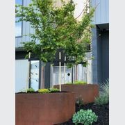 Bottomless Cylinder Planter gallery detail image