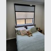 Indiana : Chainless Roller Blind gallery detail image