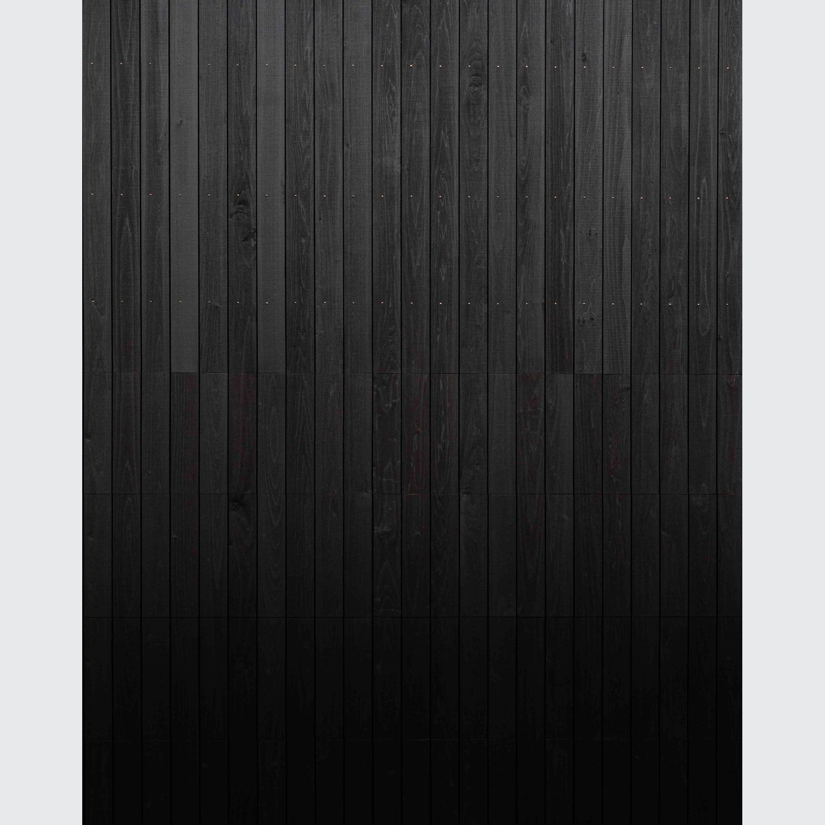 JSC TMT® Taxon gallery detail image