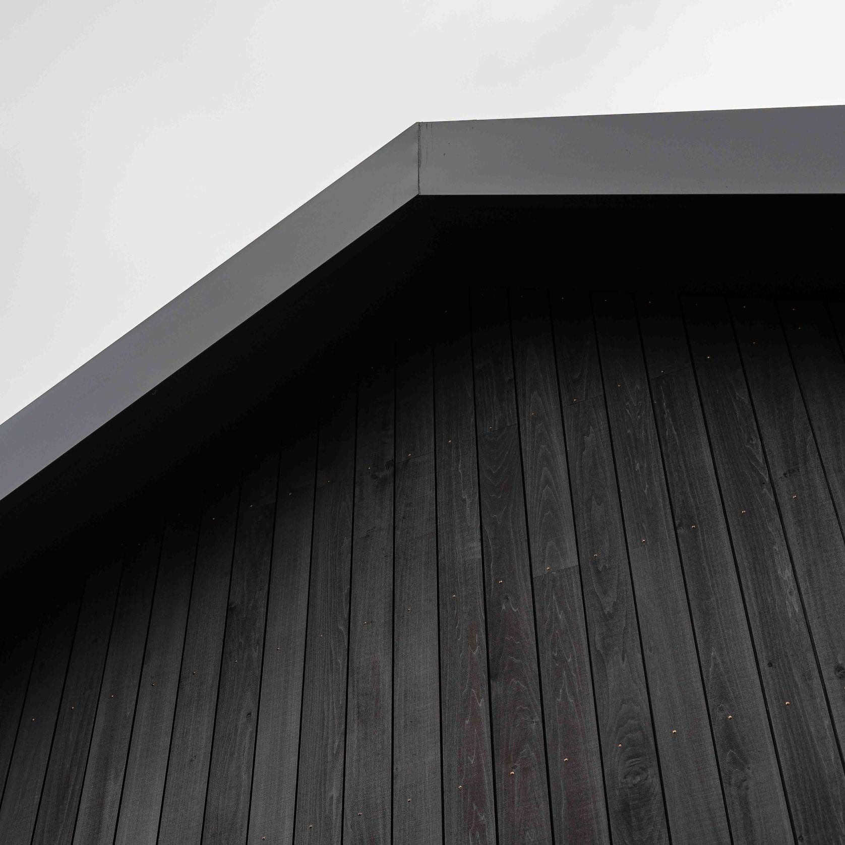 JSC TMT® Taxon gallery detail image