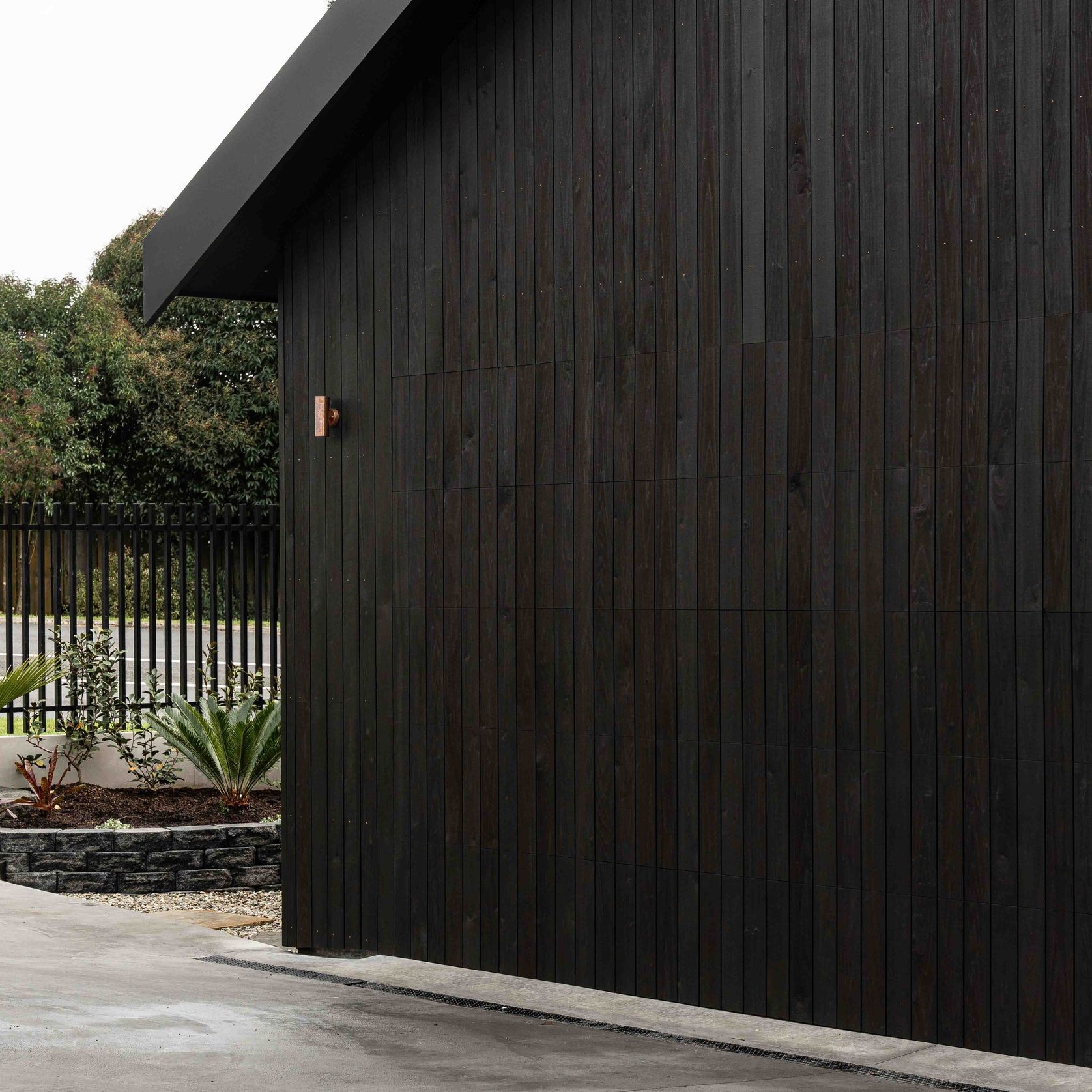 JSC TMT® Taxon gallery detail image