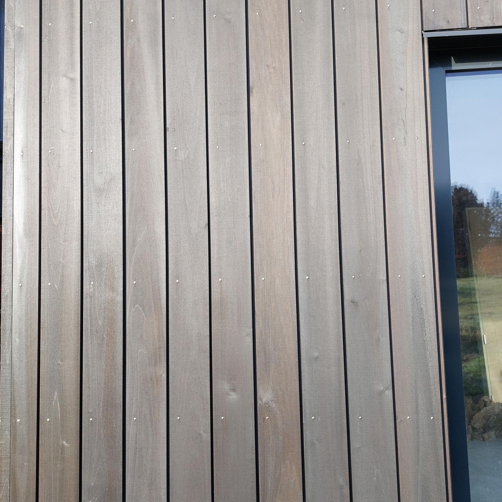 JSC TMT® Taxon gallery detail image