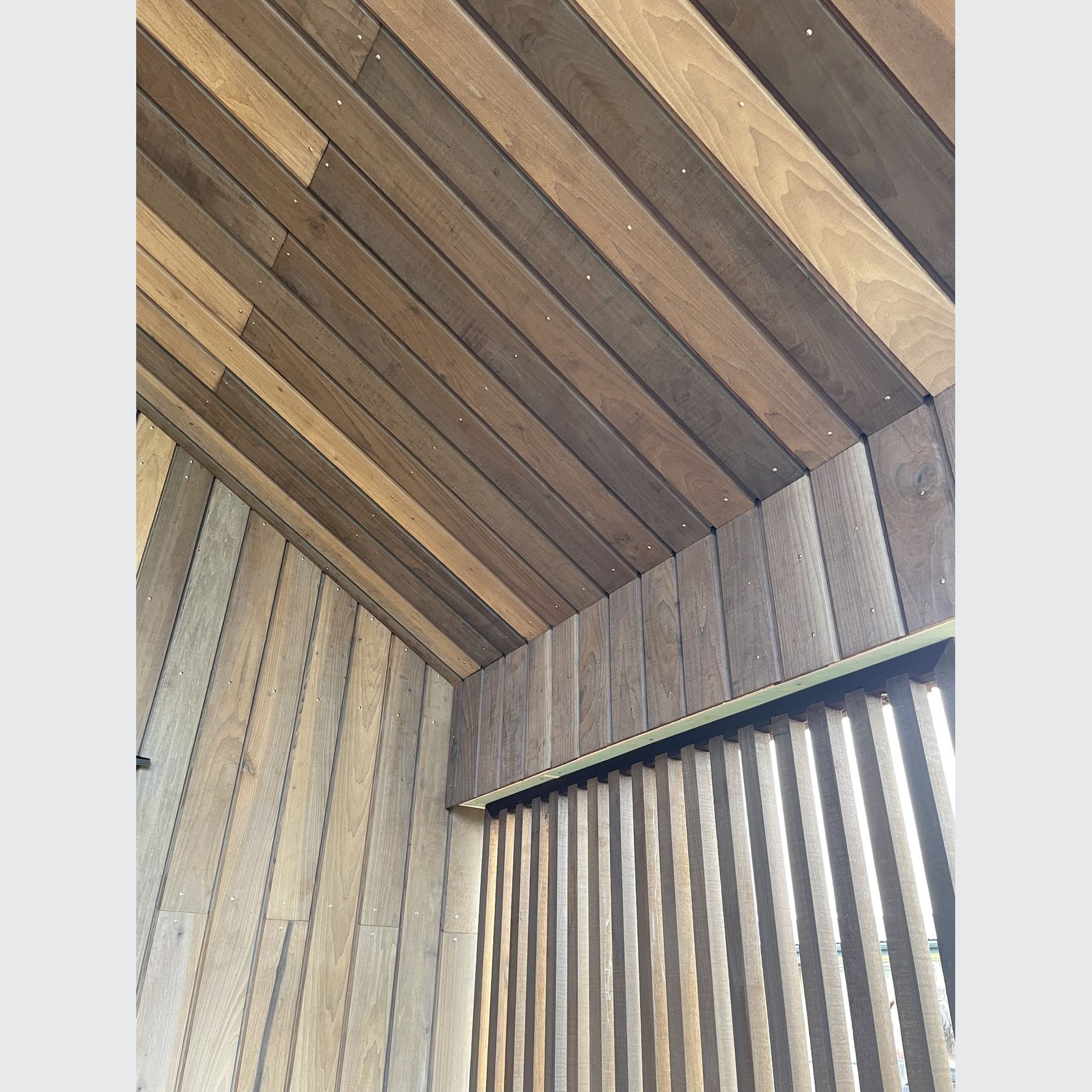 JSC TMT® Taxon gallery detail image