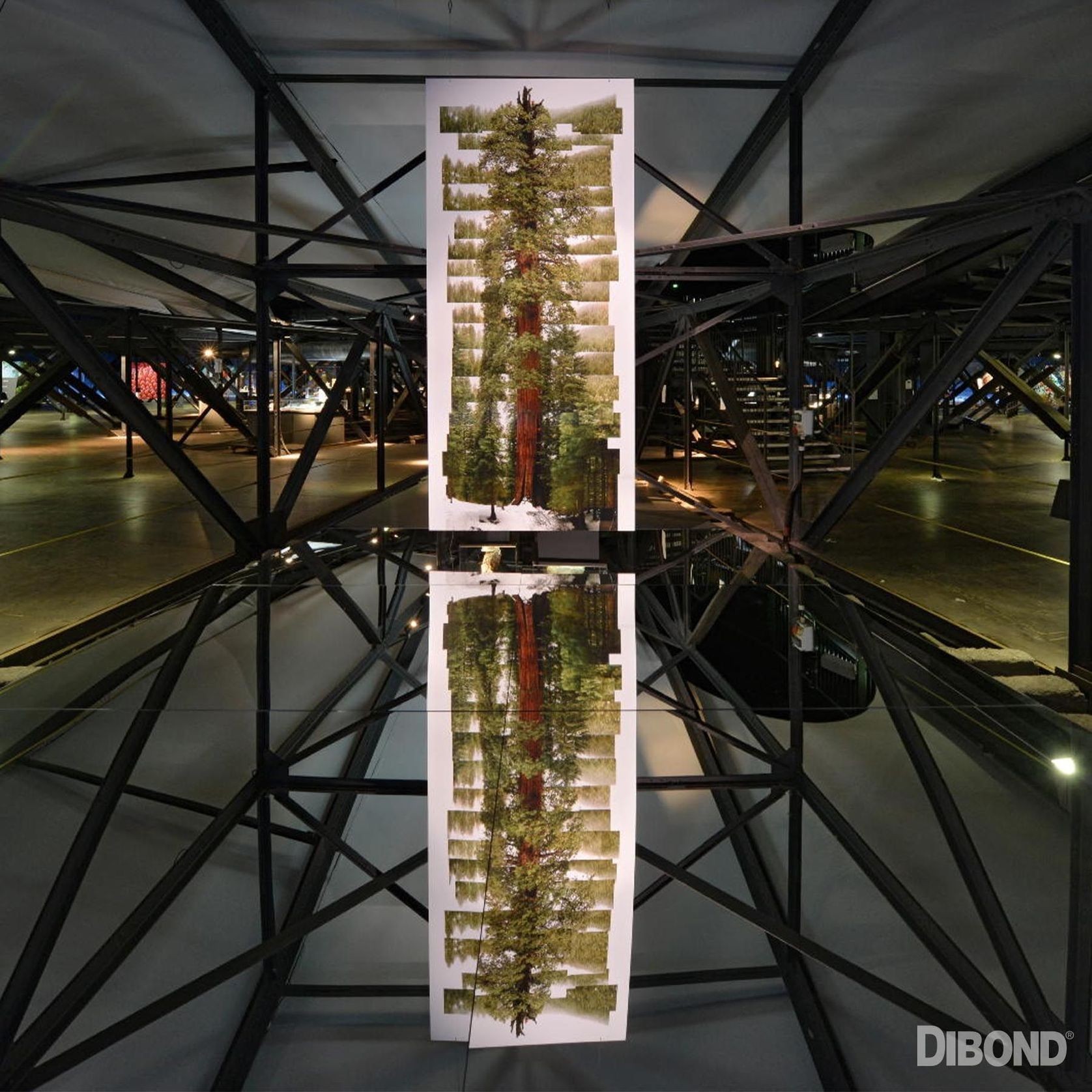 Dibond Commerical Displays gallery detail image