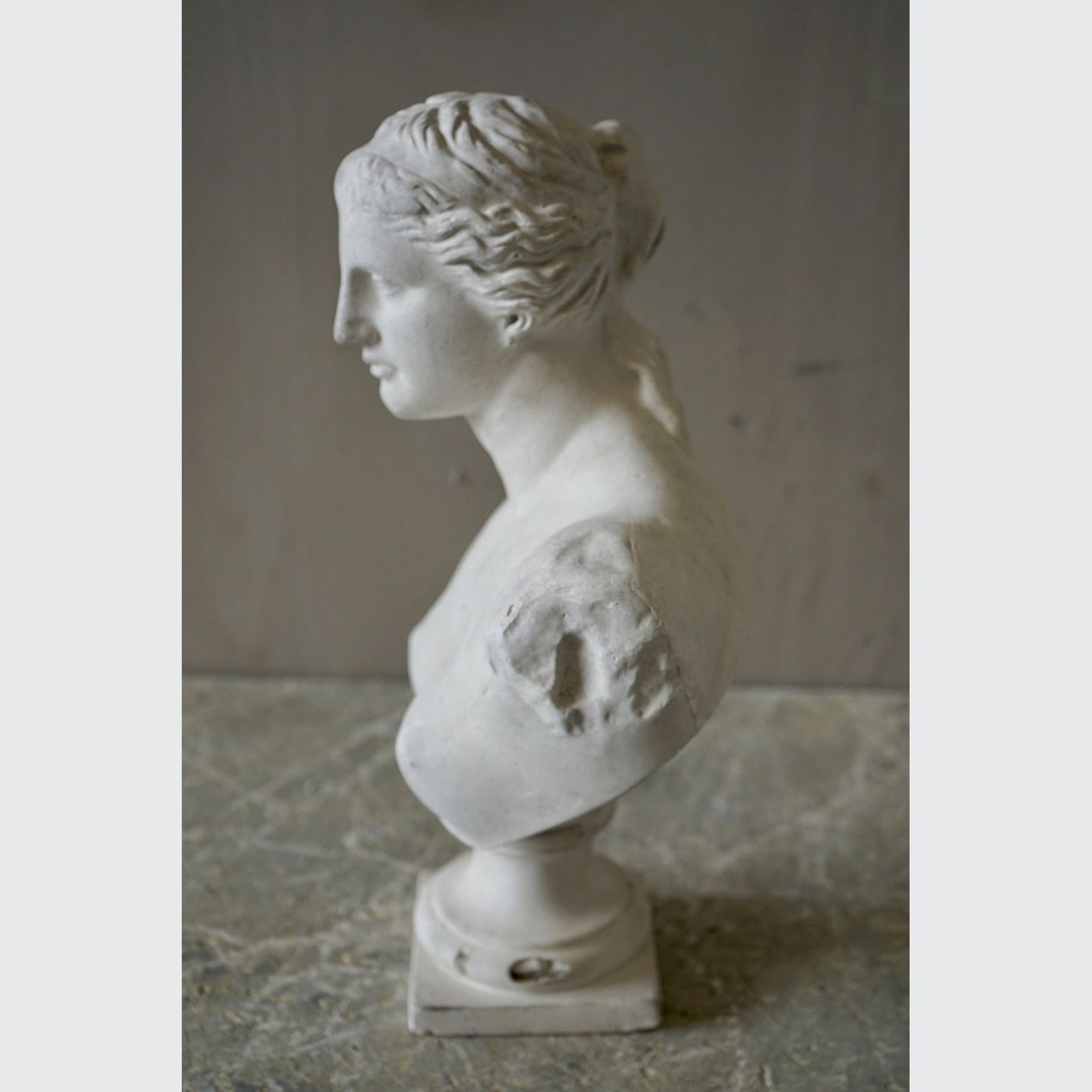 French Plaster Bust of Venus de Milo gallery detail image