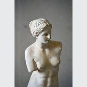 French Plaster Statue of Venus gallery detail image