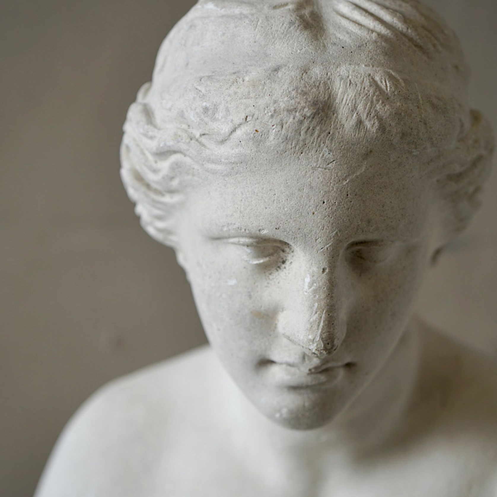 French Plaster Bust of Venus de Milo gallery detail image