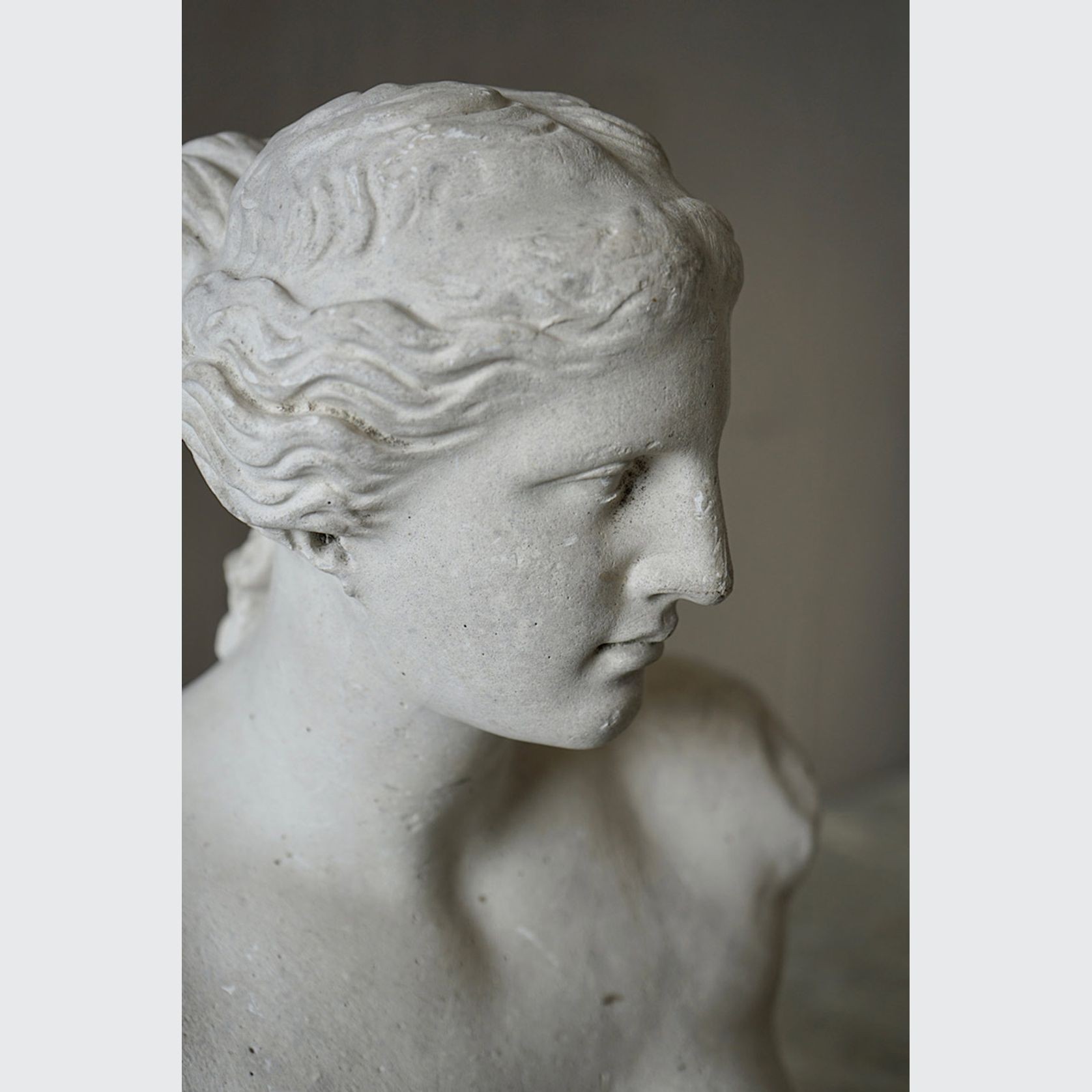 French Plaster Bust of Venus de Milo gallery detail image