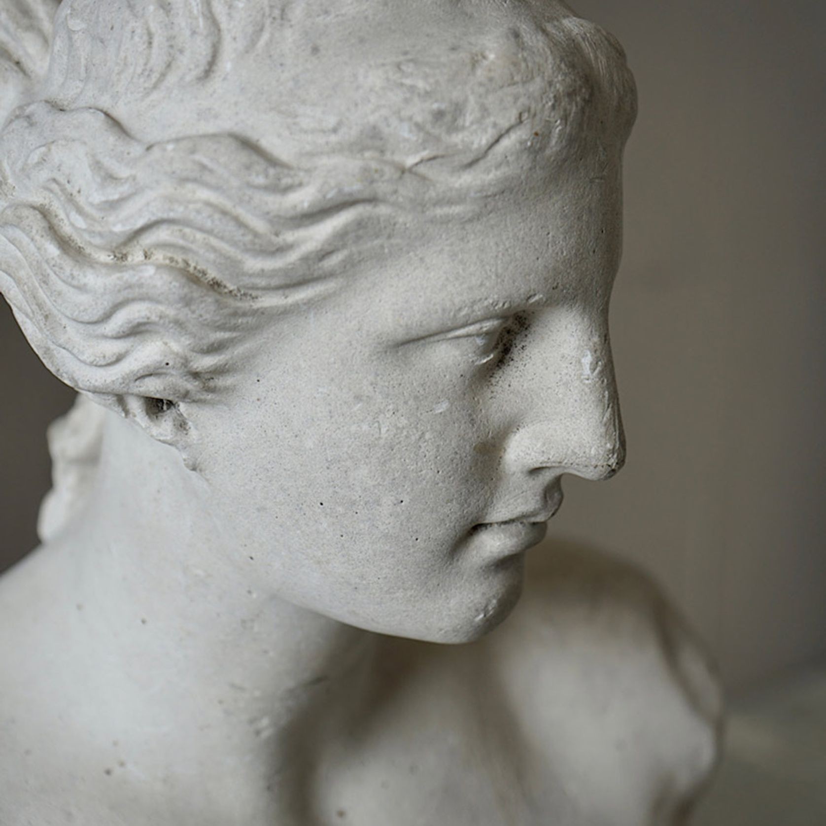 French Plaster Bust of Venus de Milo gallery detail image