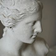 French Plaster Bust of Venus de Milo gallery detail image
