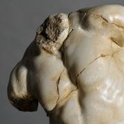 Apollo Torso gallery detail image