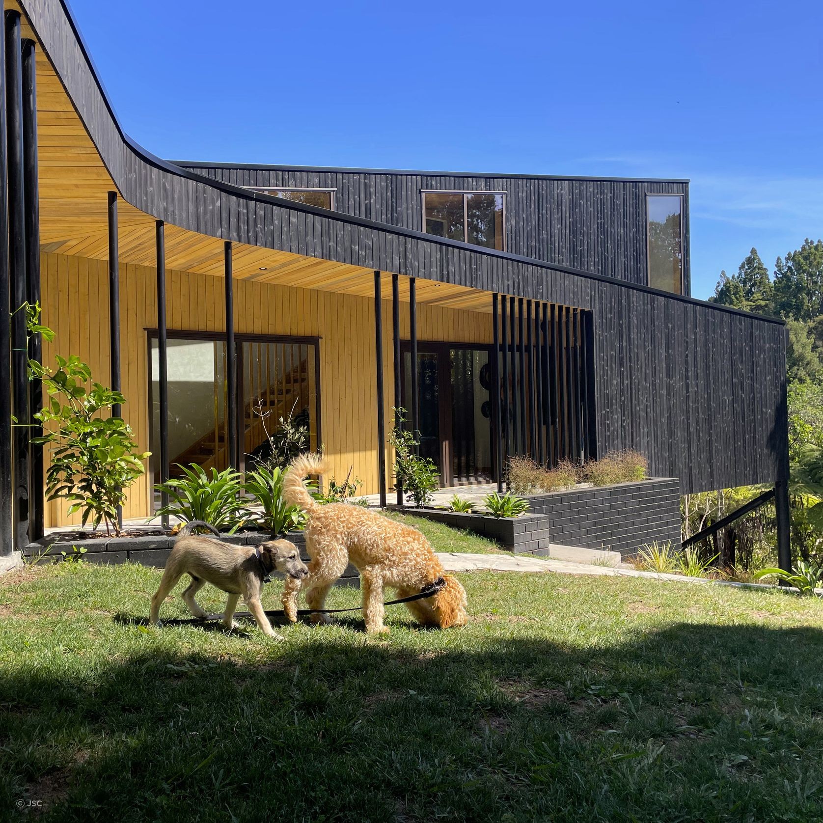 JSC TMT® Range  - Thermally Modified Timber gallery detail image