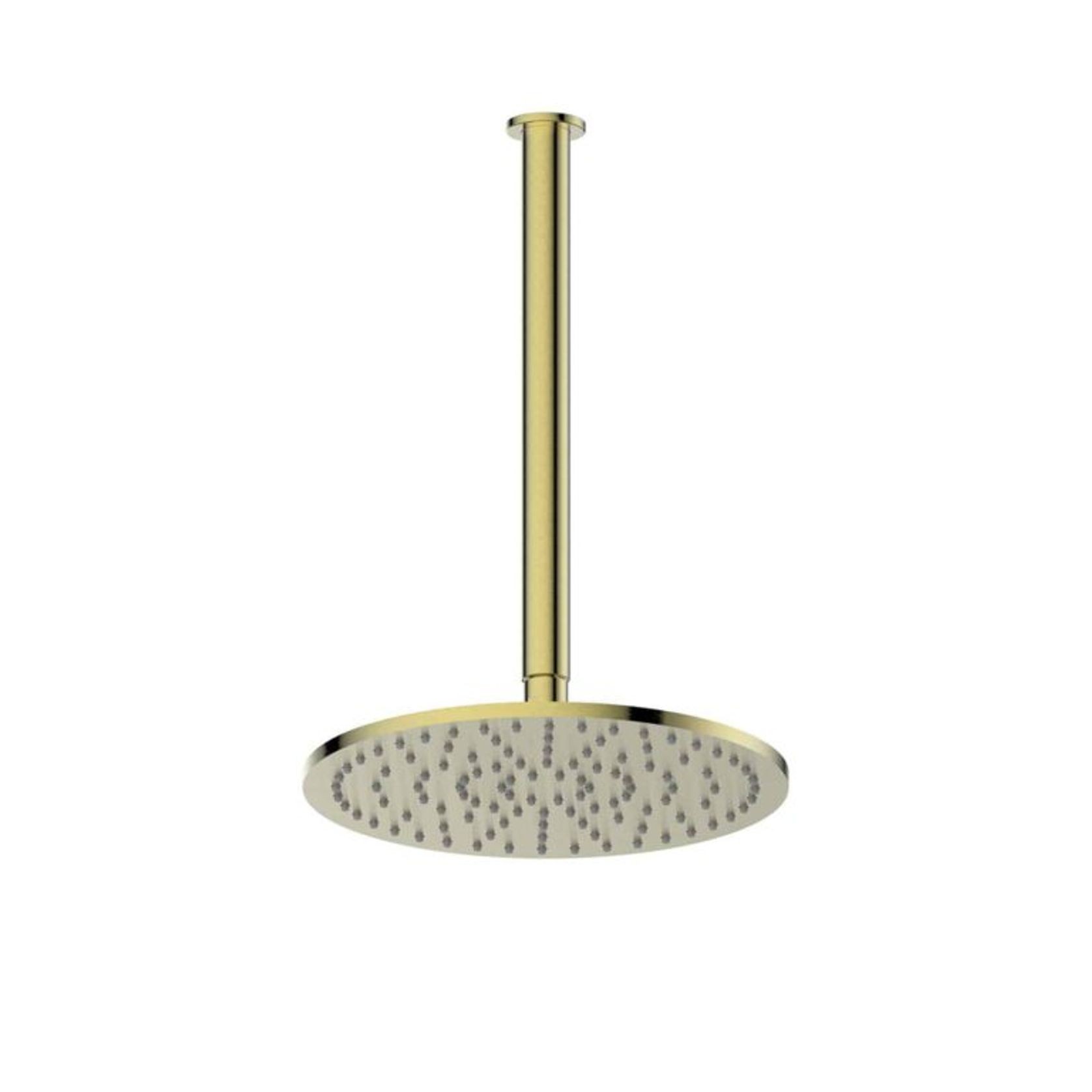 Textura | Gisele Ceiling Shower Head gallery detail image