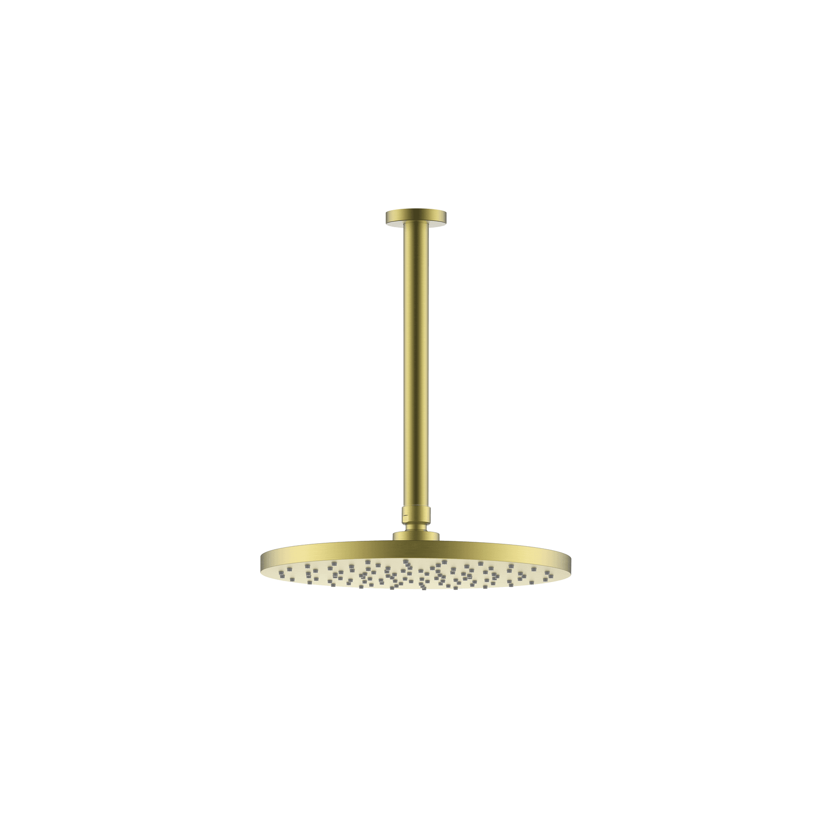 Evoke Shower Rain Head (Ceiling Mount) gallery detail image