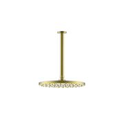 Evoke Shower Rain Head (Ceiling Mount) gallery detail image