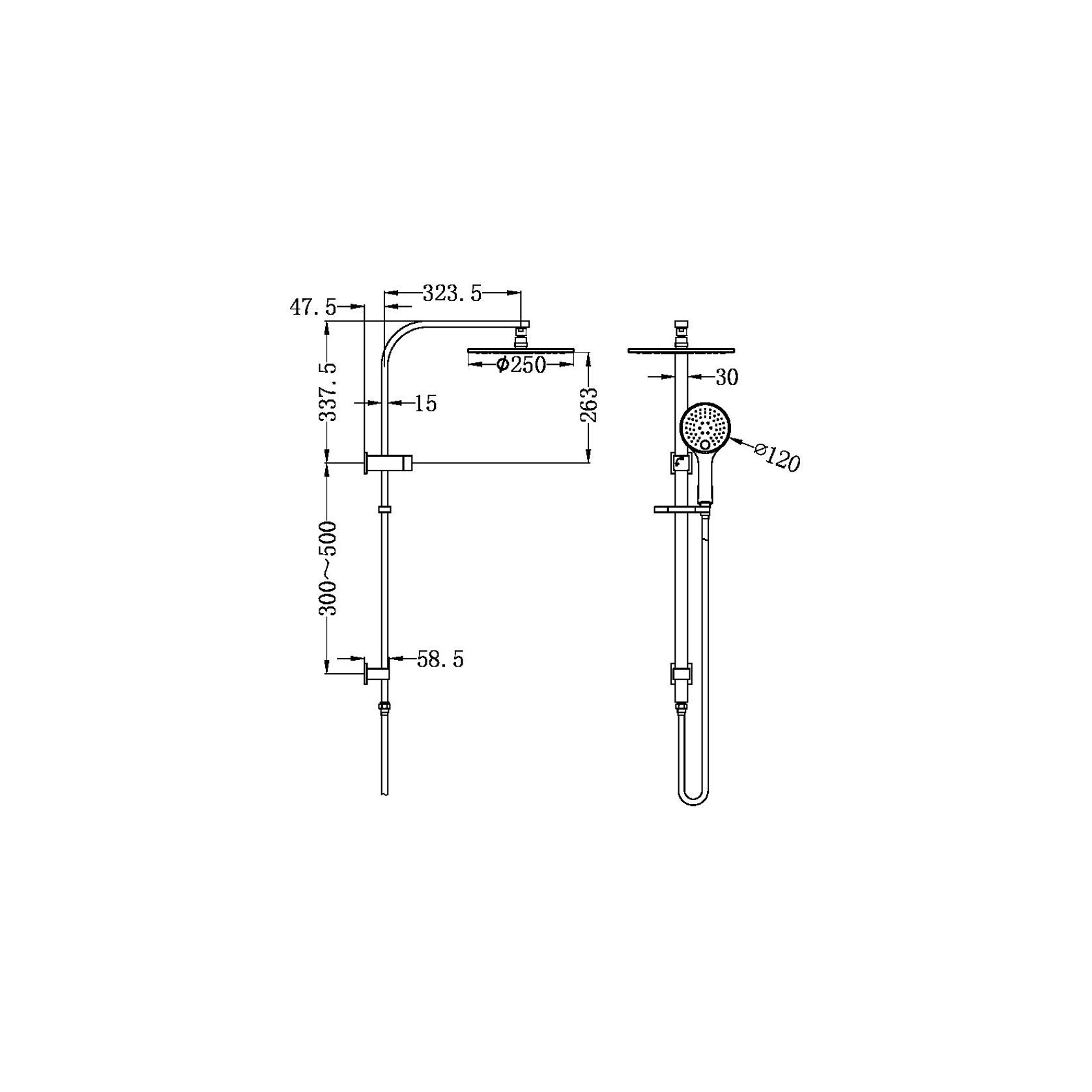 Bianca Twin Shower | Brushed Bronze gallery detail image
