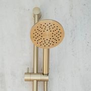 Tate Aerlux® Single Spray Slide Shower gallery detail image
