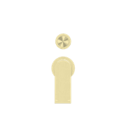 Bianca Shower Mixer & Divertor Back Plate | Brushed Gold gallery detail image