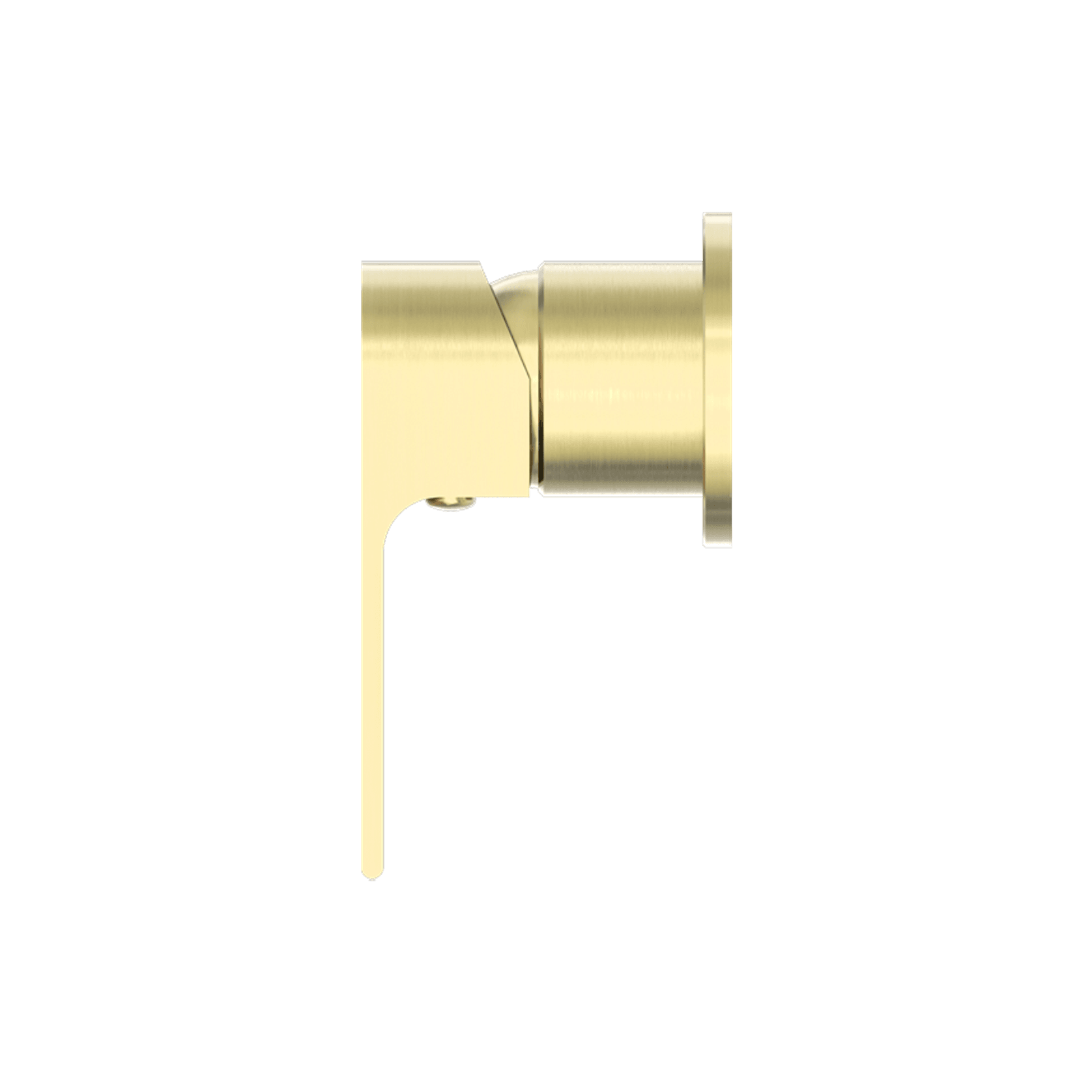 Bianca Shower Mixer 60mm Plate | Brushed Gold gallery detail image