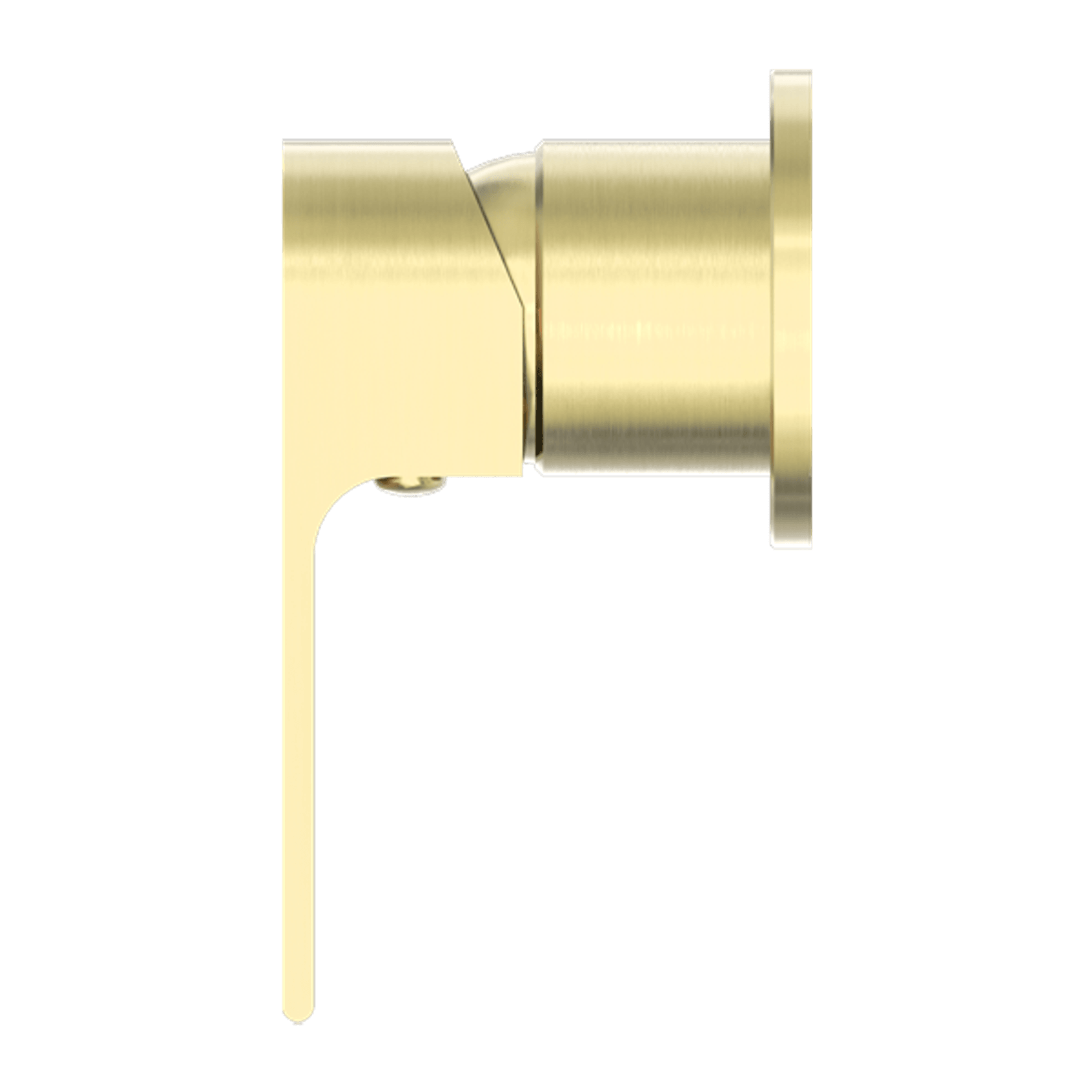 Bianca Shower Mixer 60mm Plate | Brushed Gold gallery detail image