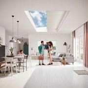 Skylight Gravity Drop Cord Operated | Pleated Blind gallery detail image