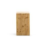 Calix Burl Plinth Small | Natural gallery detail image