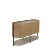 Elanta Cabinet with 2 Doors gallery detail image