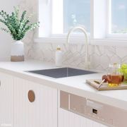 Hana 40L Single Kitchen Sink | 550 x 450mm gallery detail image