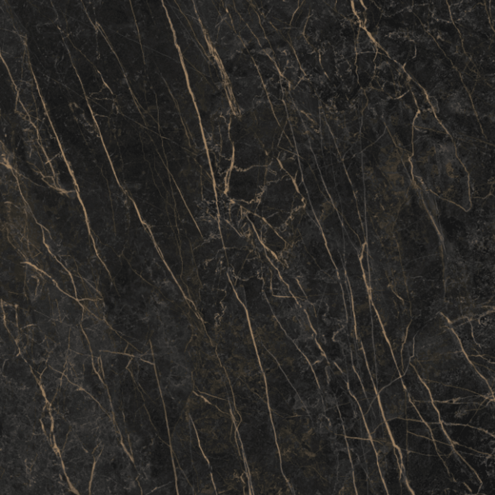 Black Obsession gallery detail image