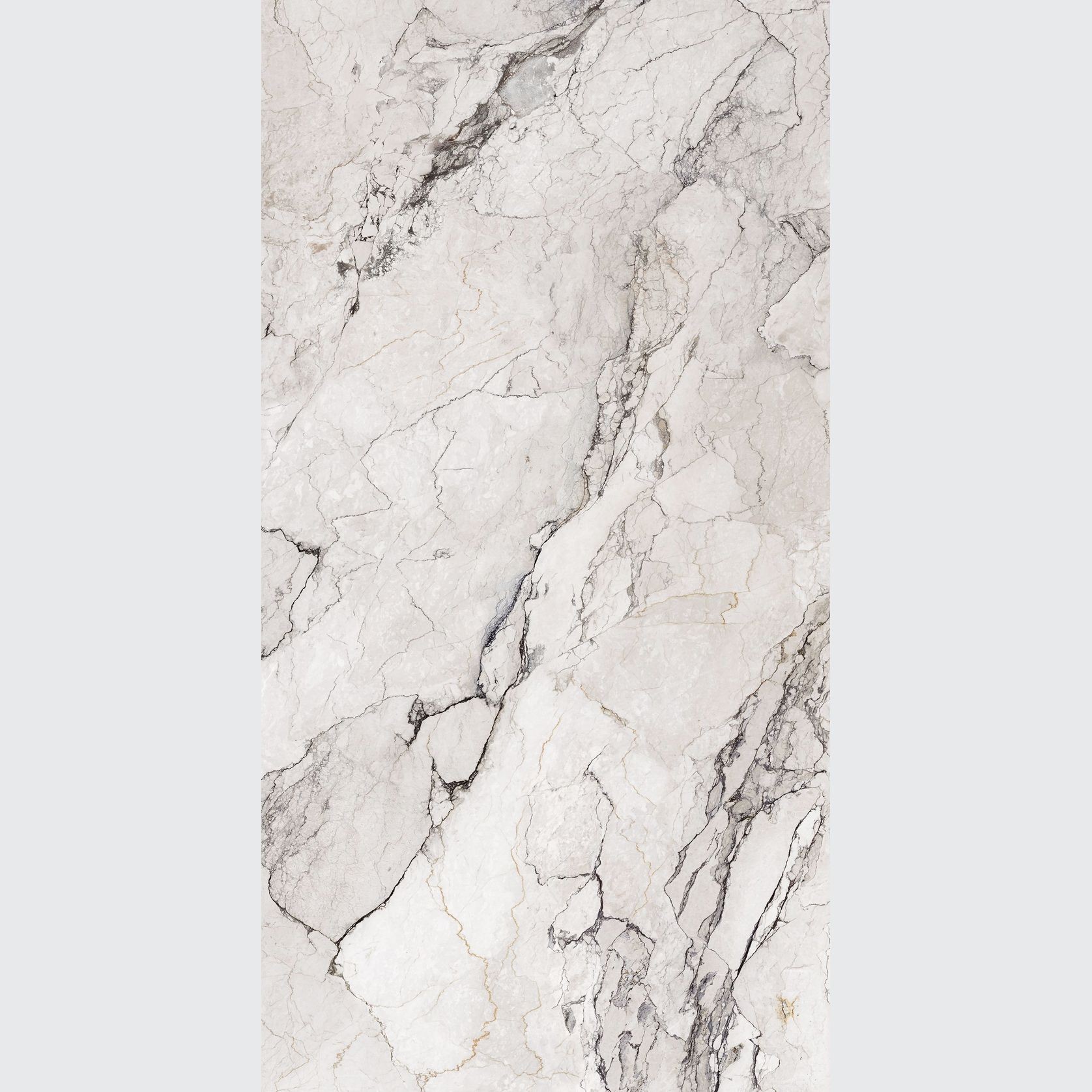 Colorado Dunes gallery detail image