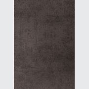 Iron Copper gallery detail image