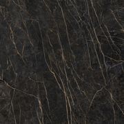 Black Obsession gallery detail image