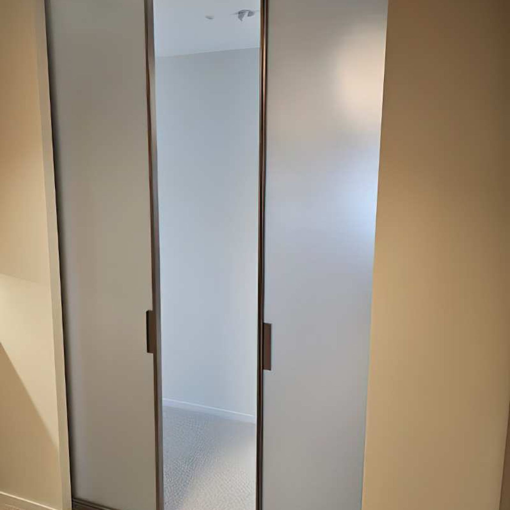 Sliding Steel Doors gallery detail image