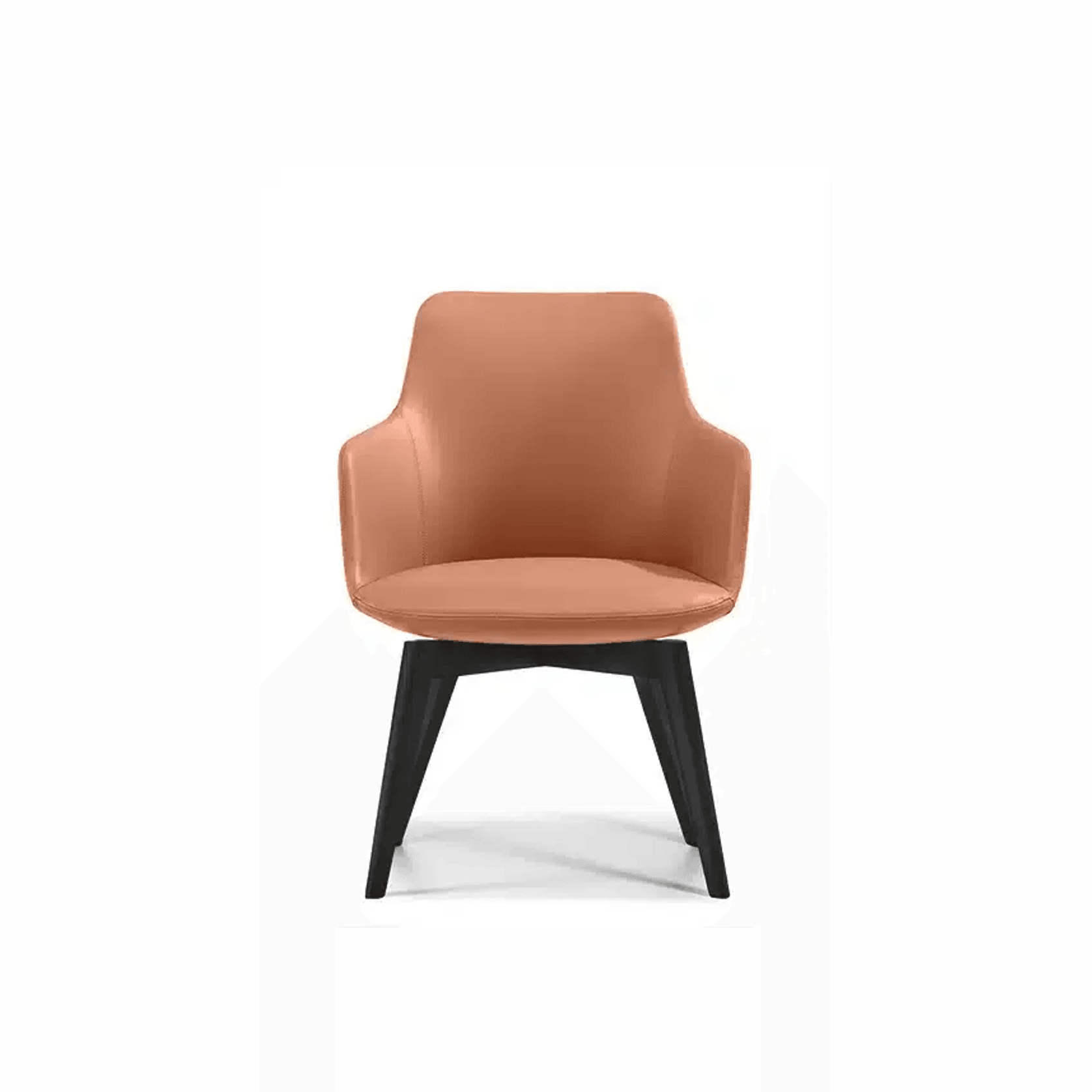 Telopea Arm Chair 3 gallery detail image