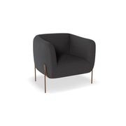Belle Lounge Chair - Storm Grey -Brushed Matt Gold Legs gallery detail image