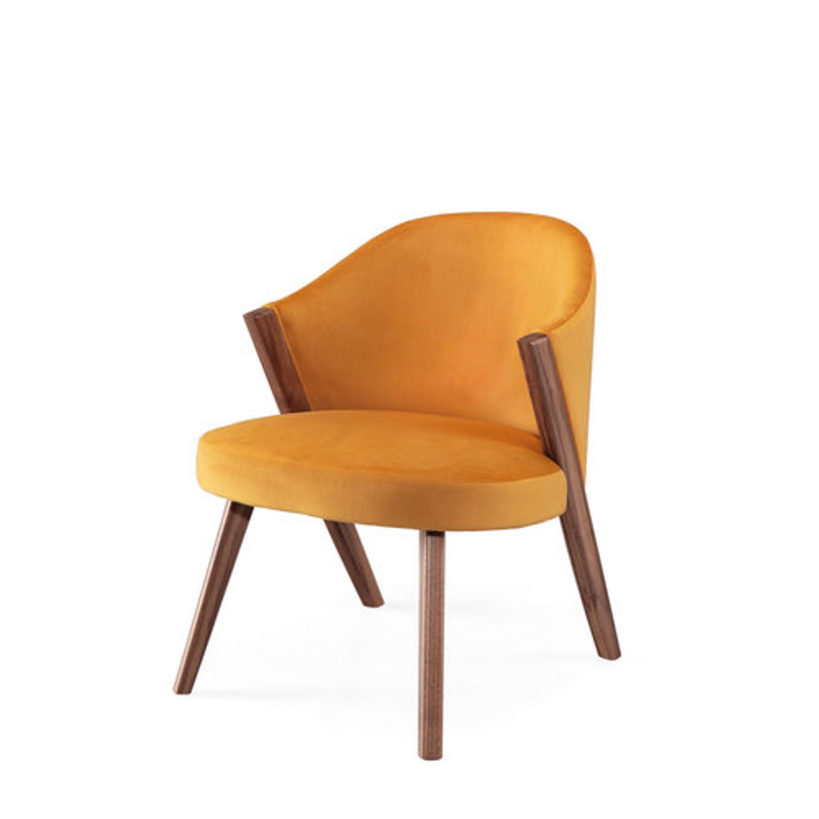 Caravela Lounge Chair gallery detail image