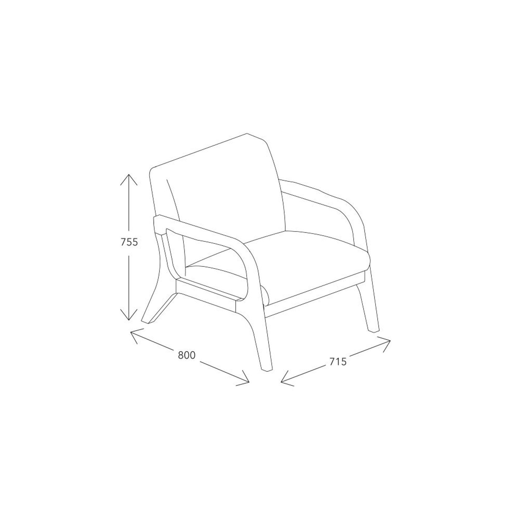 Paris Black Occasional Chair | Walnut | Hardwood Frame gallery detail image