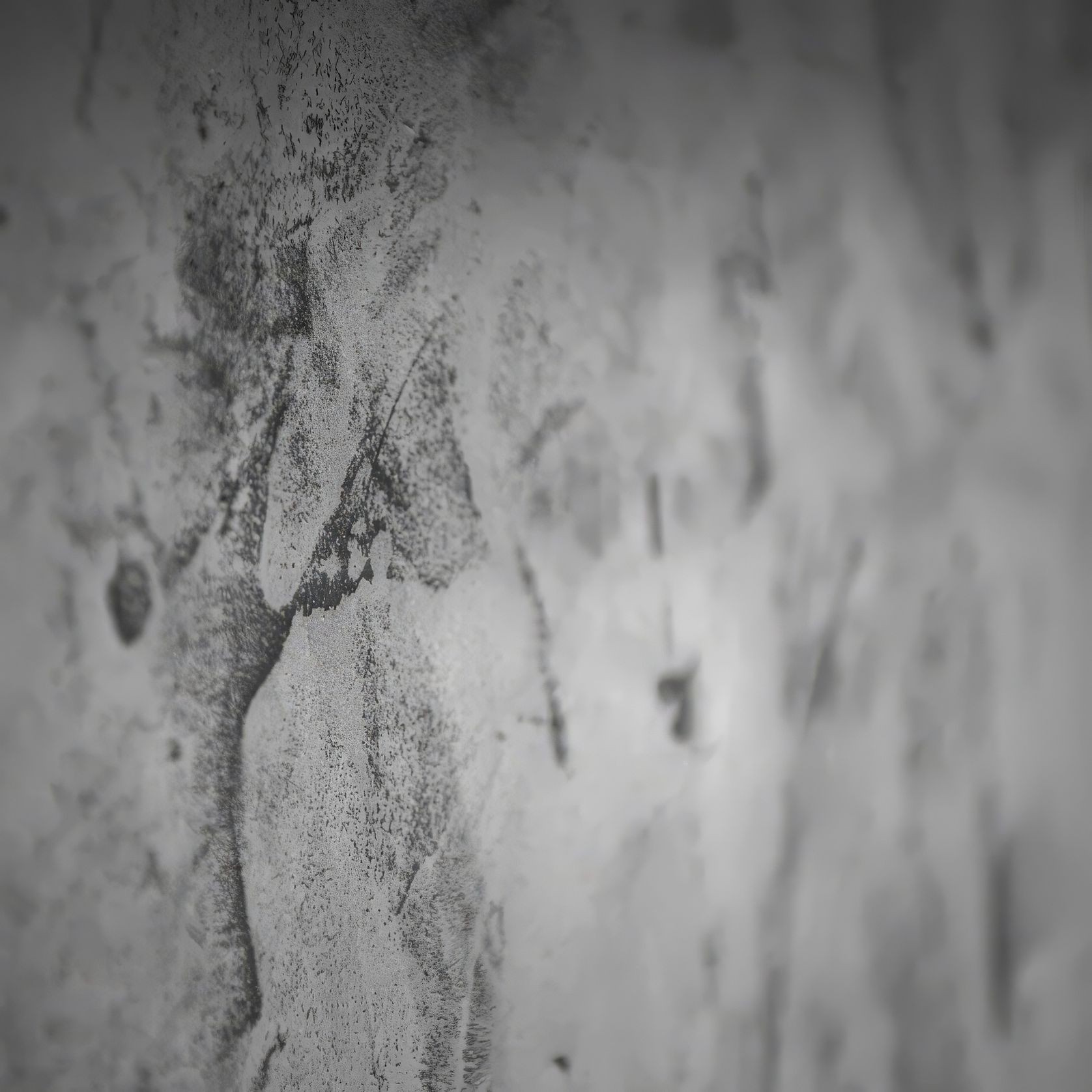Suave Polished Plaster gallery detail image