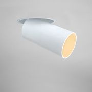 Tullyspot Wall Washer COB Pro Spotlight gallery detail image