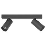 Twin LED Tubular Spot Light gallery detail image