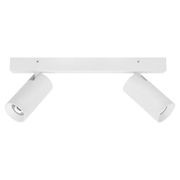 Twin LED Tubular Spot Light gallery detail image