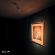 ZELA Art Spot Light gallery detail image