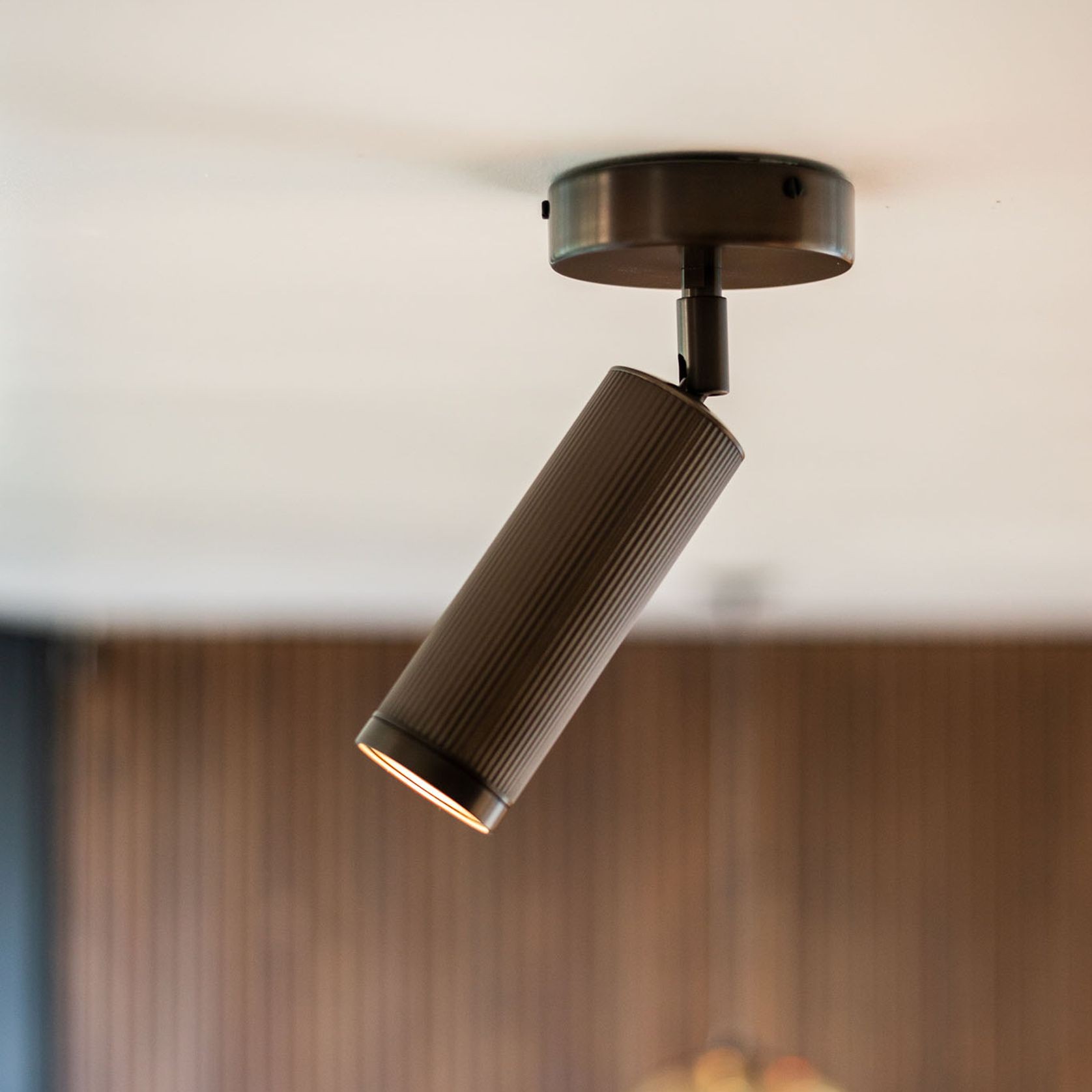 Spot Ceiling Light gallery detail image