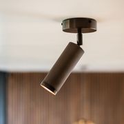 Spot Ceiling Light gallery detail image
