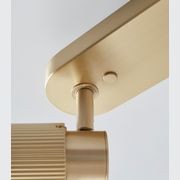 Spot Pro Triple Ceiling Light gallery detail image