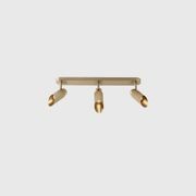 Spot Pro Triple Ceiling Light gallery detail image