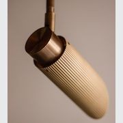 Spot Pro Ceiling Light gallery detail image