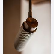 Spot Pro Ceiling Light gallery detail image